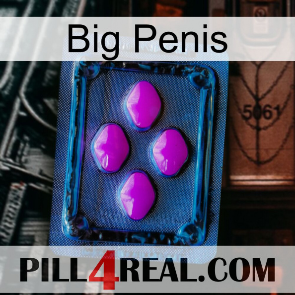 Big Penis 04.jpg